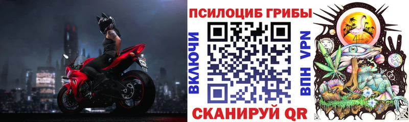 Купить закладки  Семикаракорск  Псилоцибиновые грибы GOLDEN TEACHER 