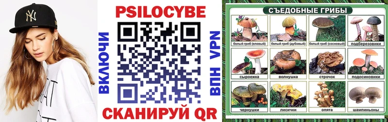 Галлюциногенные грибы Psilocybine cubensis Семикаракорск