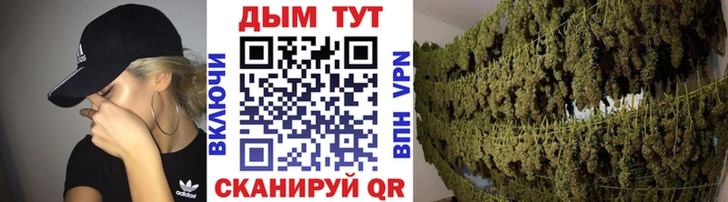 Бошки Шишки гибрид  Купить закладки  Семикаракорск 